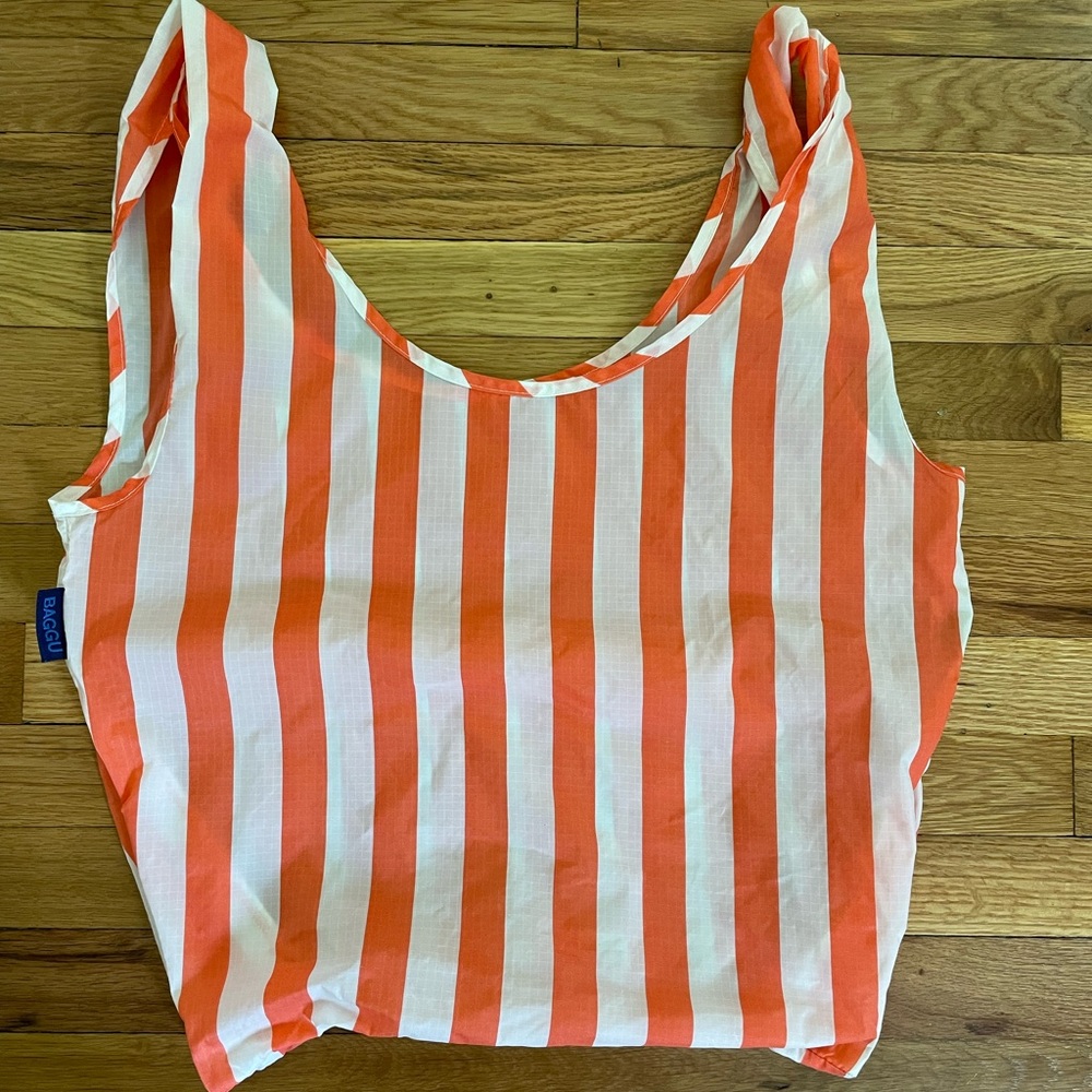 Standard Baggu Striped